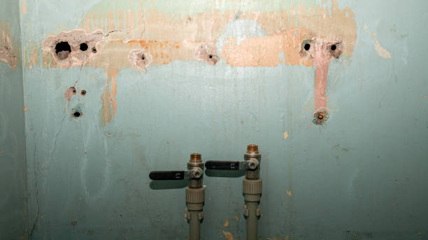  Milpitas, CA Water damage restoration Pros