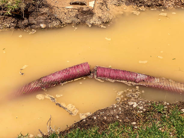 Water damage restoration mold remediation in Milpitas, CA