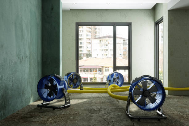 Best Water damage restoration near me  in Milpitas, CA